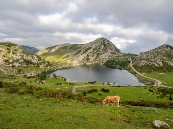 Waar Te Verblijven Op Mallorca Mooiste Plekken En Accommodaties