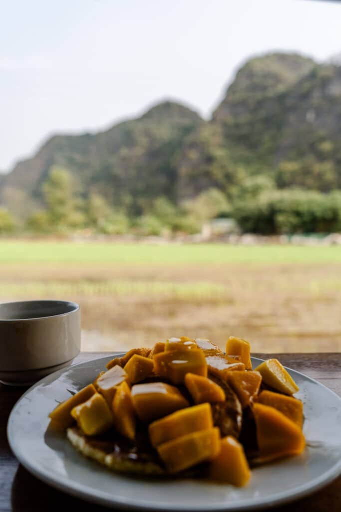 Tam Coc Windy Fields