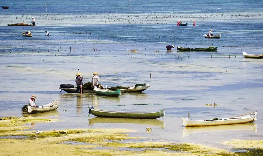 vissers in nusa lembongan