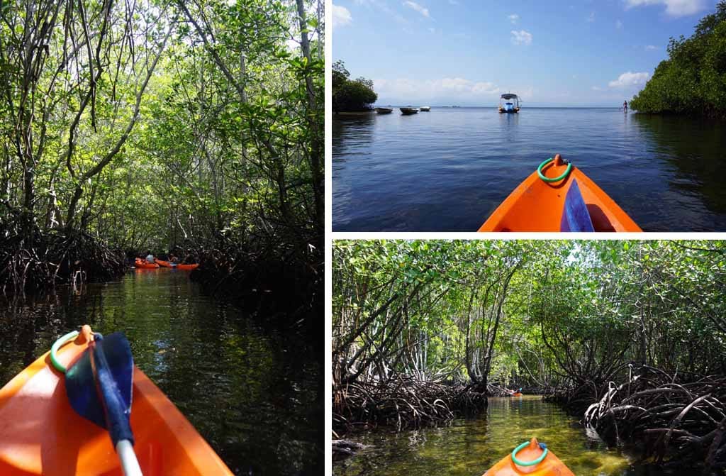 nusa lembongan mangrove