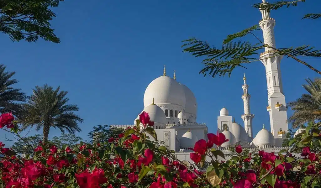 Moskee Abu Dhabi 4