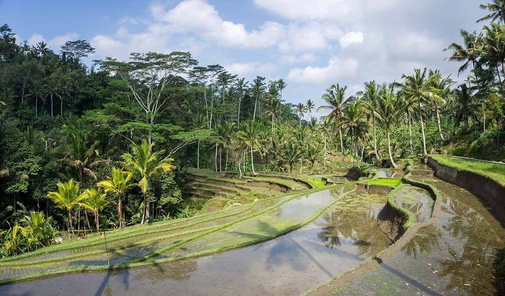 Gunung Kawi Ubud