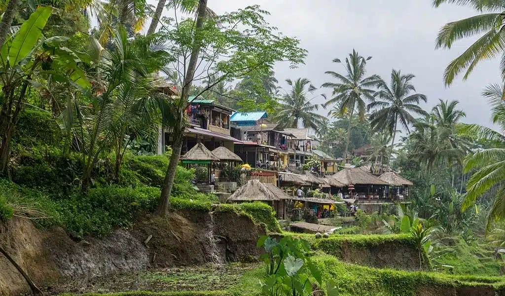 Huizen bij de rijstvelden van Ubud