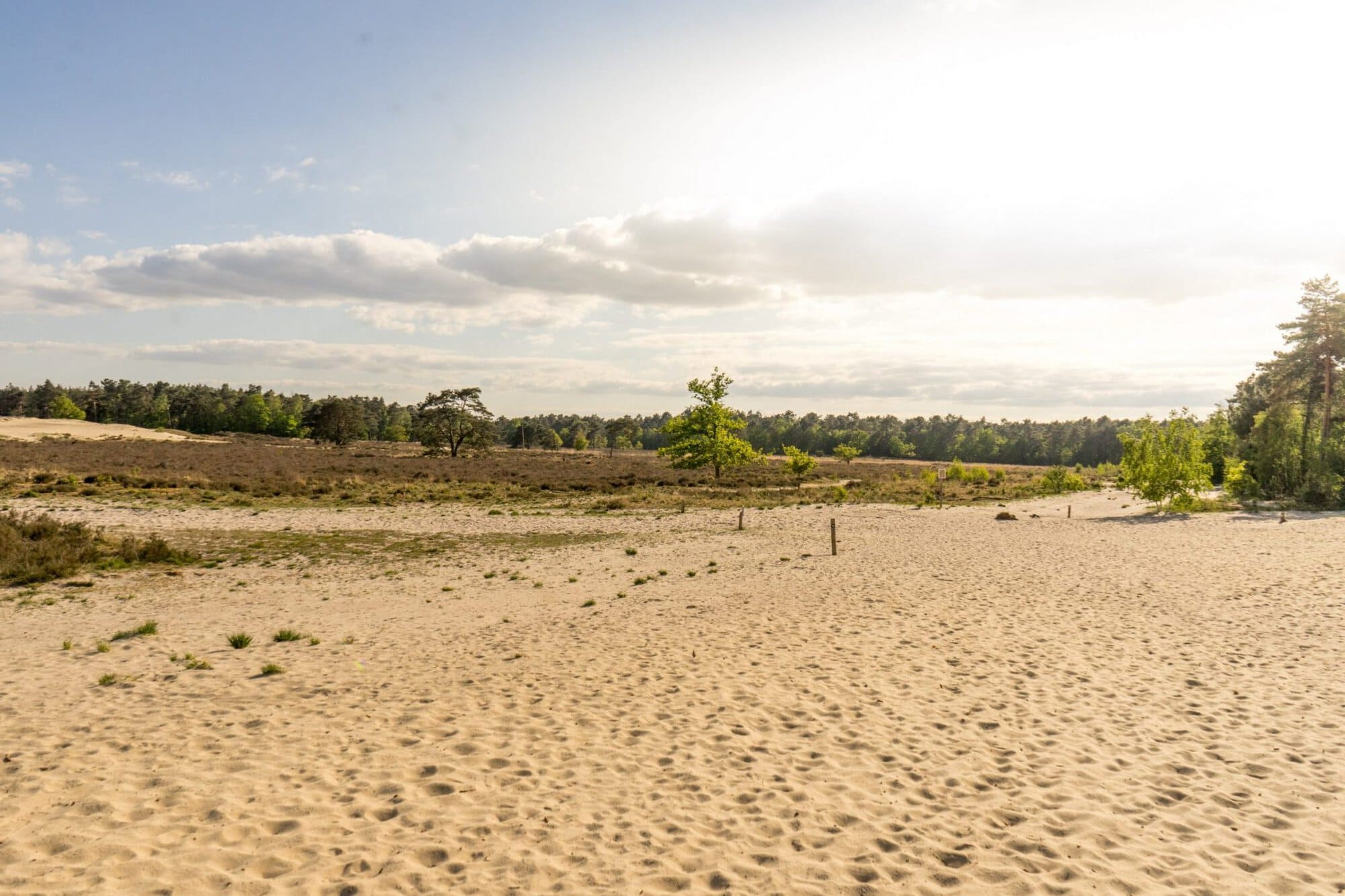 Loonse en Drunense Duinen