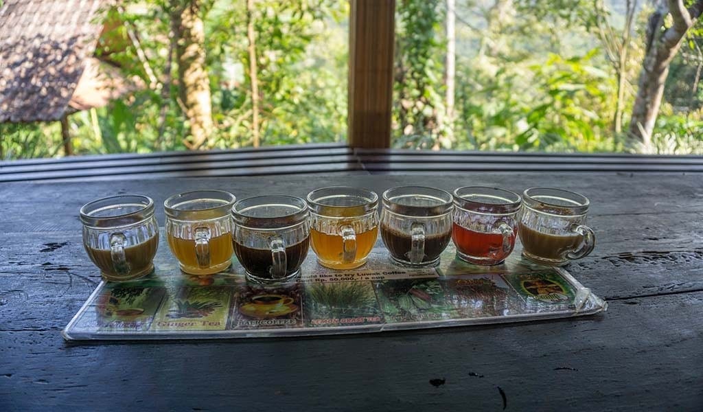 Proeverij bij Fietstocht in Ubud