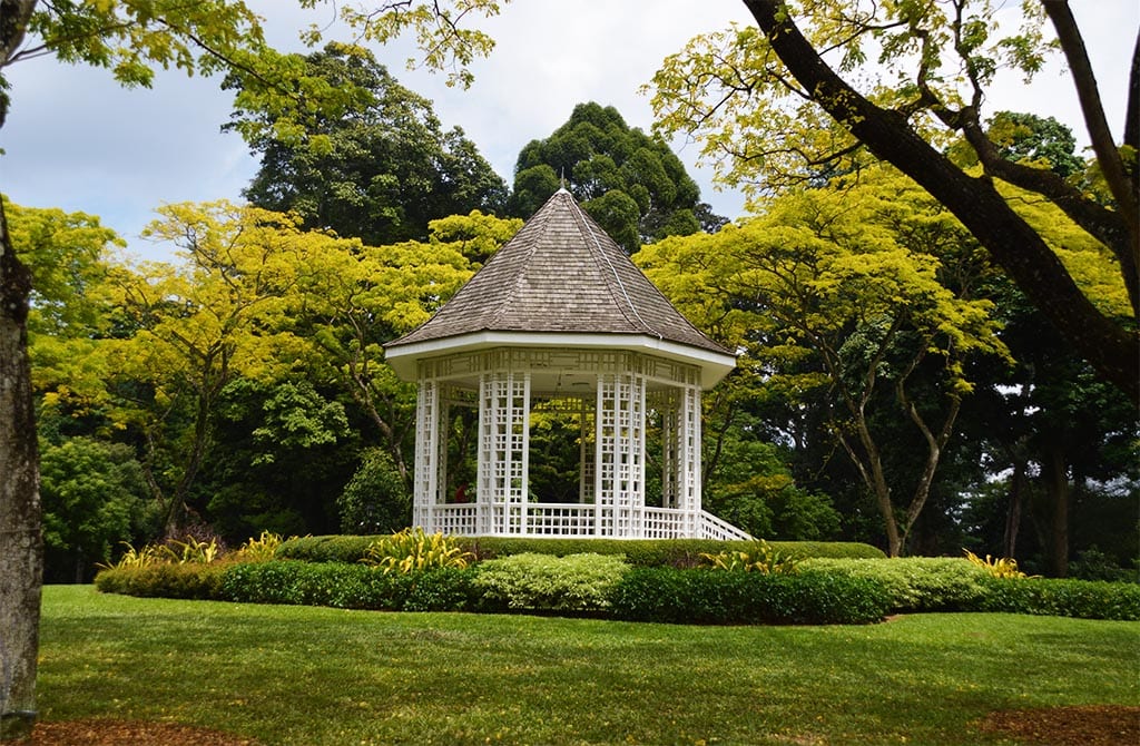 botanical garden in singapore