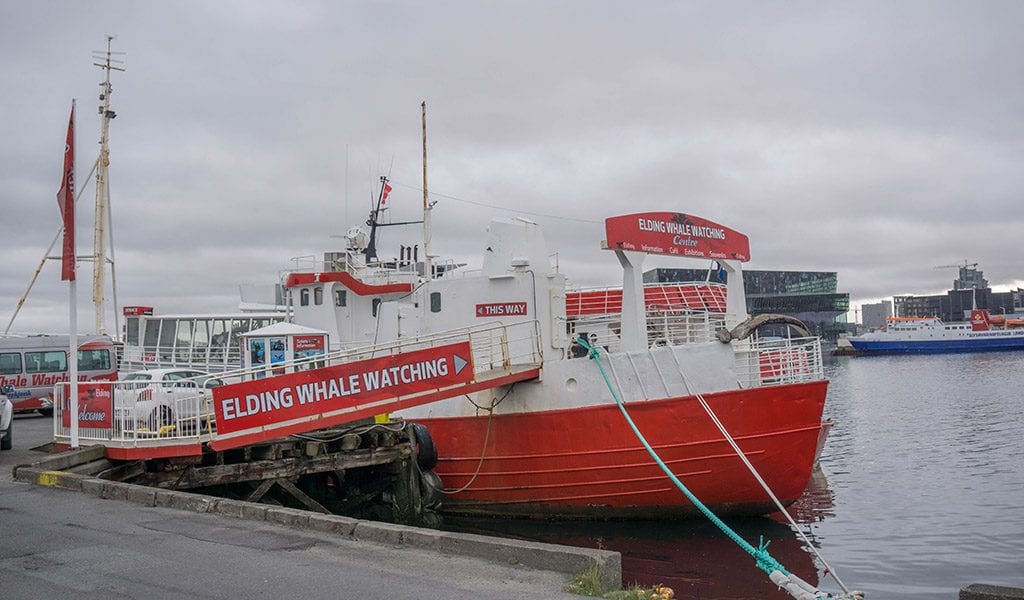Walvissen IJsland Elding - de boot