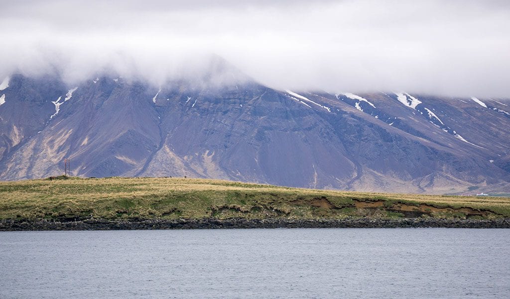 Walvissen IJsland Elding - uitzicht 2
