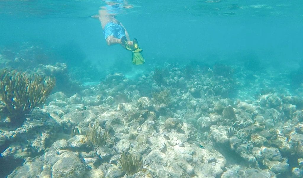 Akumal zeeschildpad snorkelen