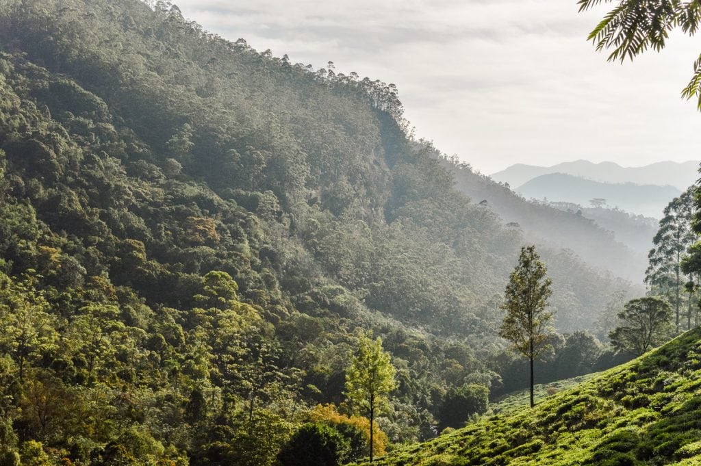 Natuur in Sri Lanka