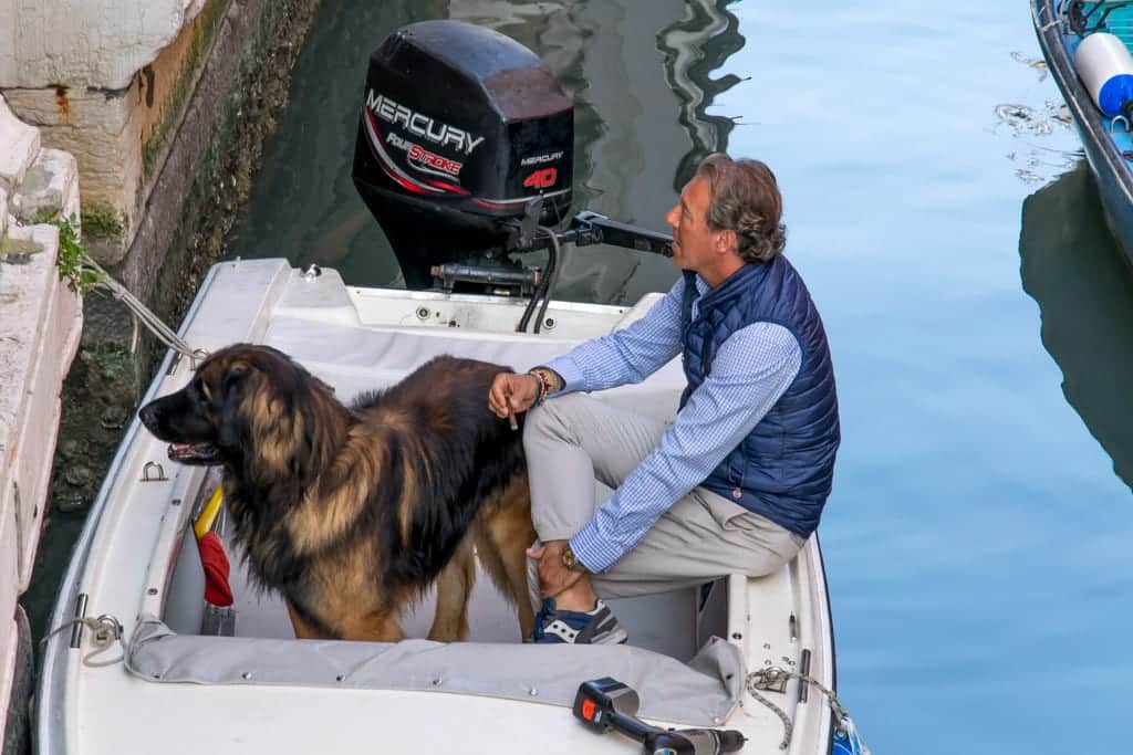 Hond in Boot in Venetië