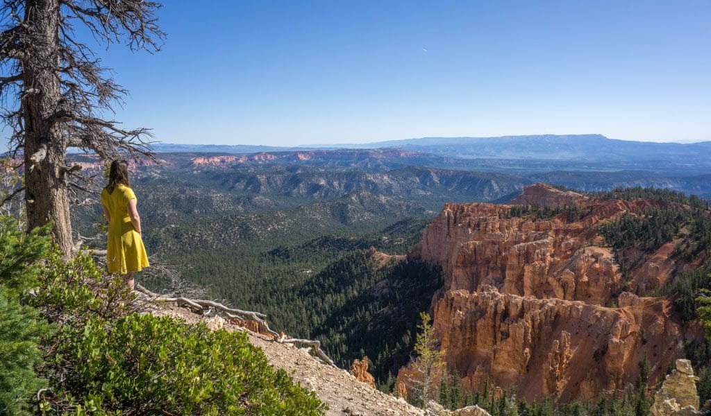 rainbow point bryce