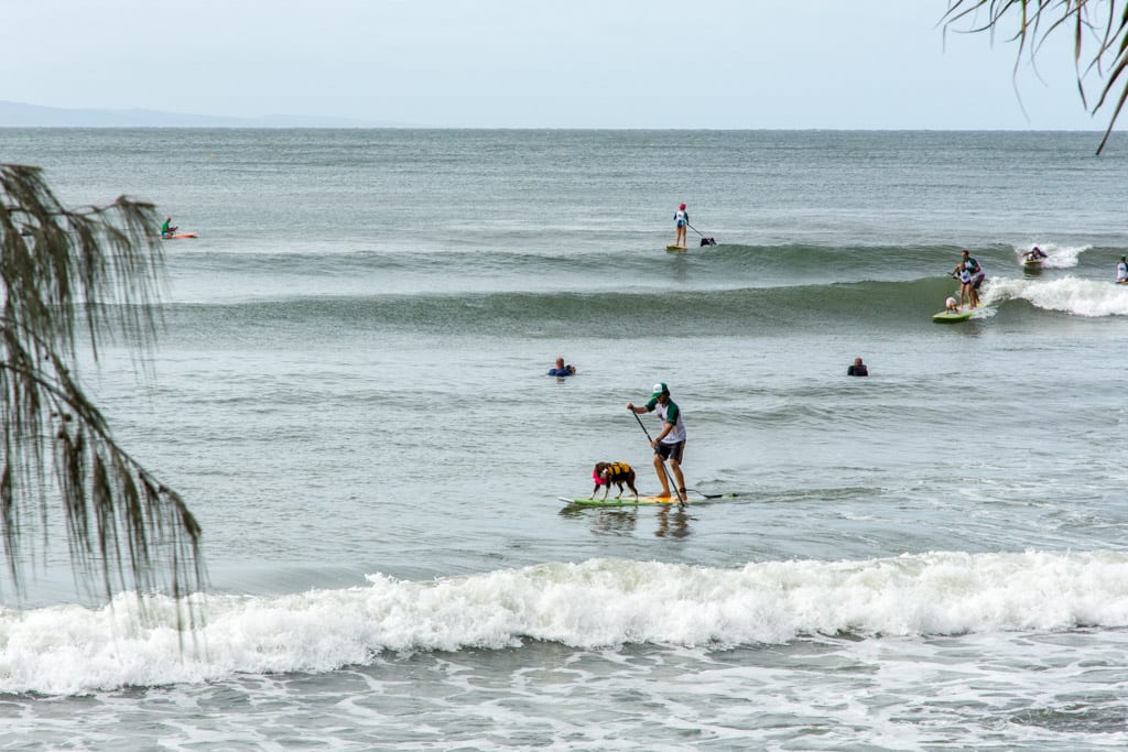 Surfwedstrijd in Noosa