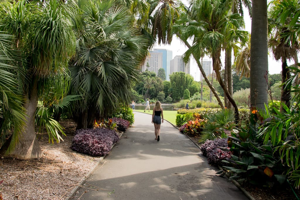 Botanische Tuinen in Sydney