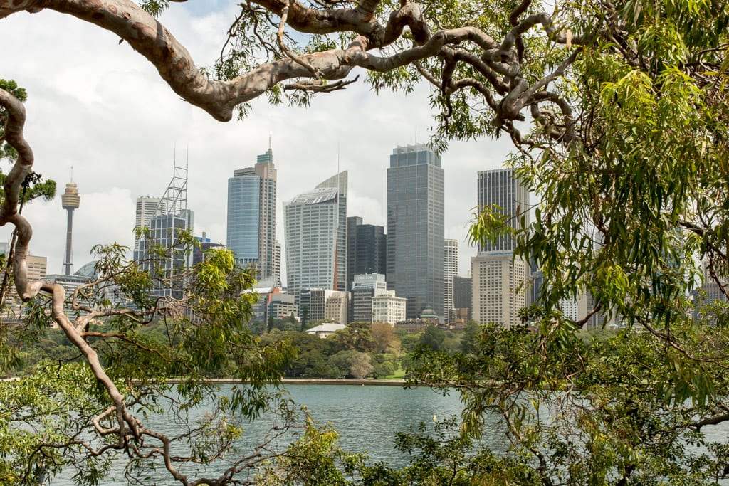 Uitzicht op de binnenstad van Sydney