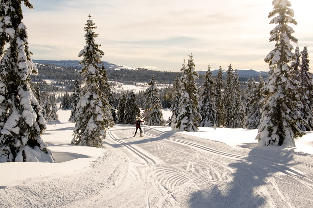 Cross Country Skiing in Noorwegen