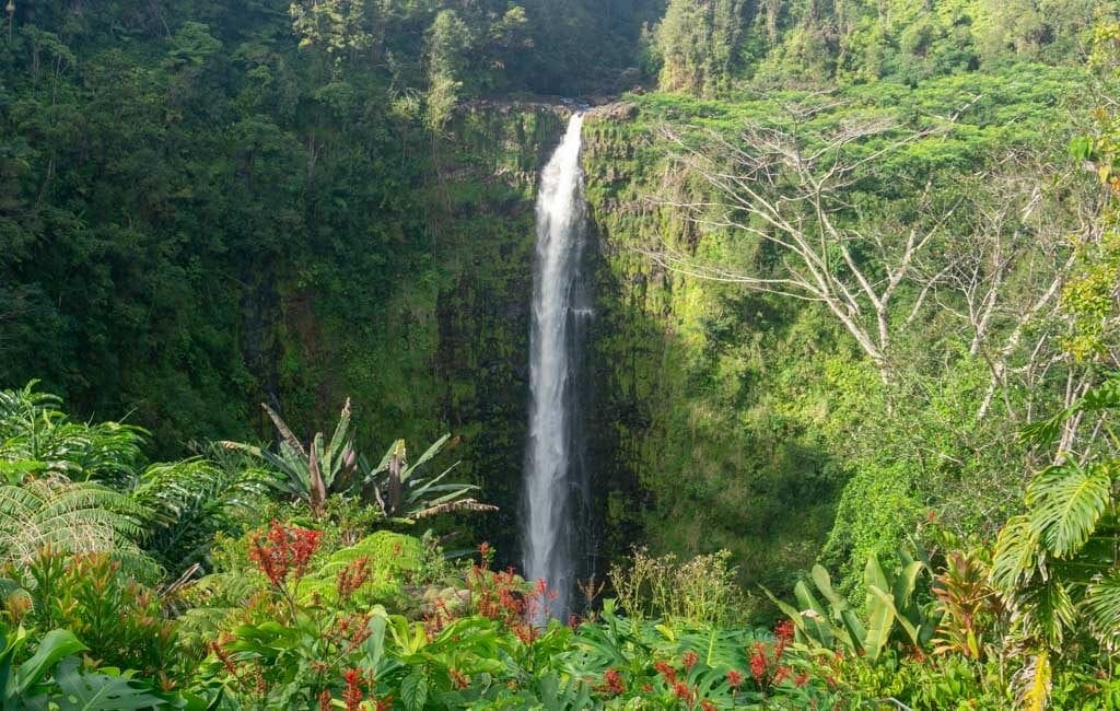 Akaka Falls State Park