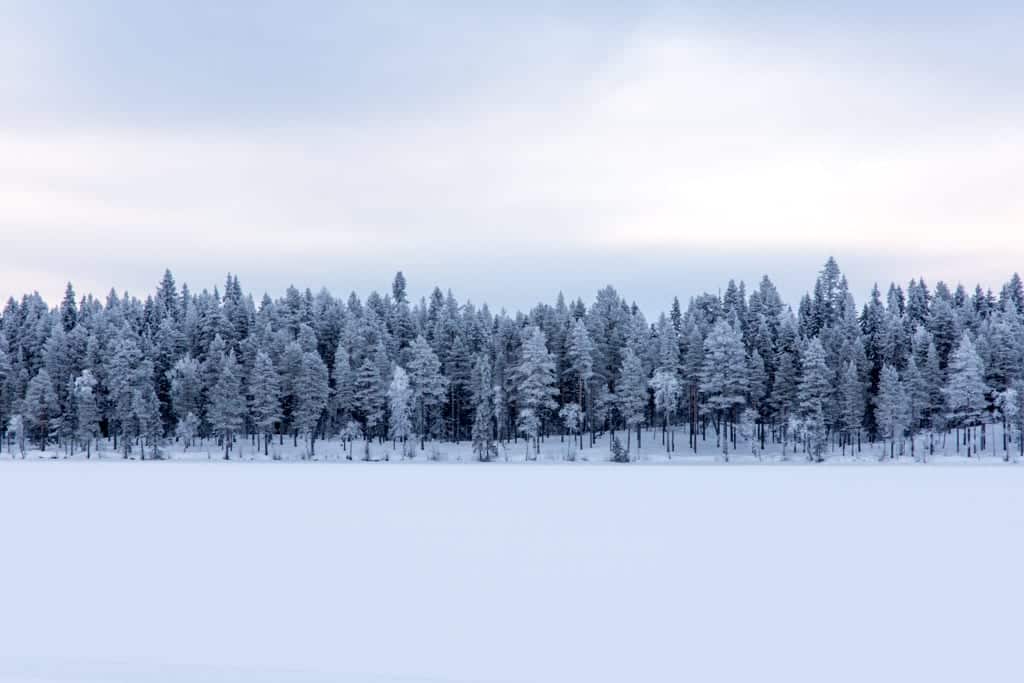 IJsvissen in Zweeds Lapland