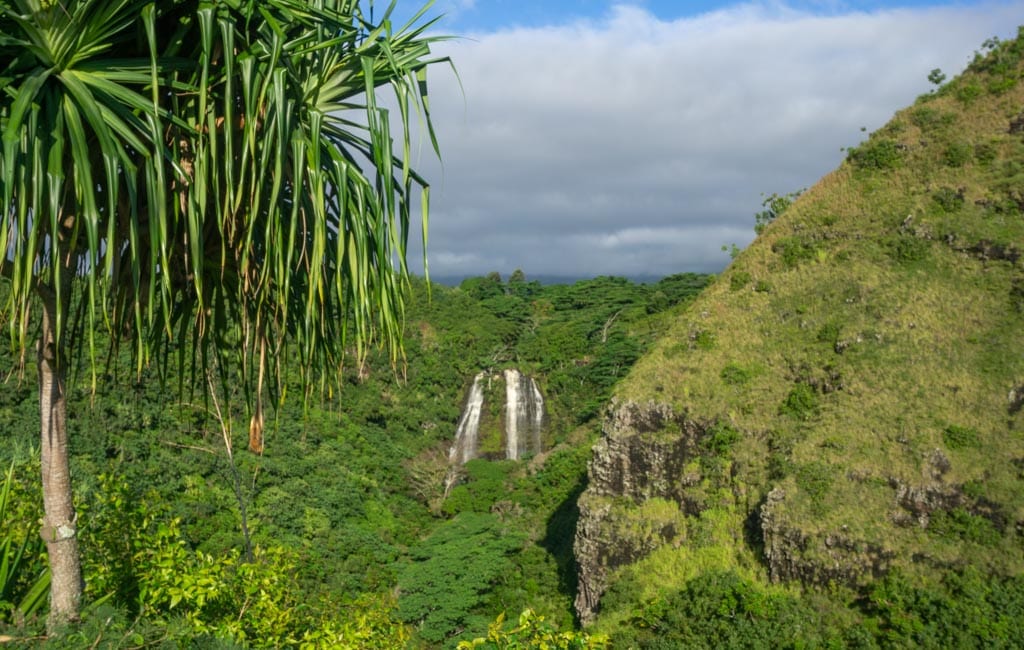 Kauai - Opaeka'a Falls