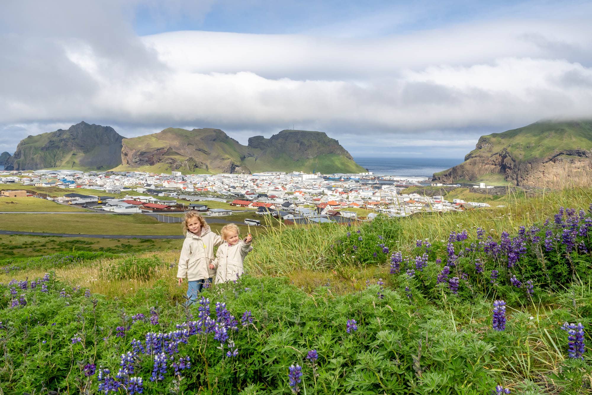 Vestmannaeyjar - Eldfell vulkaan