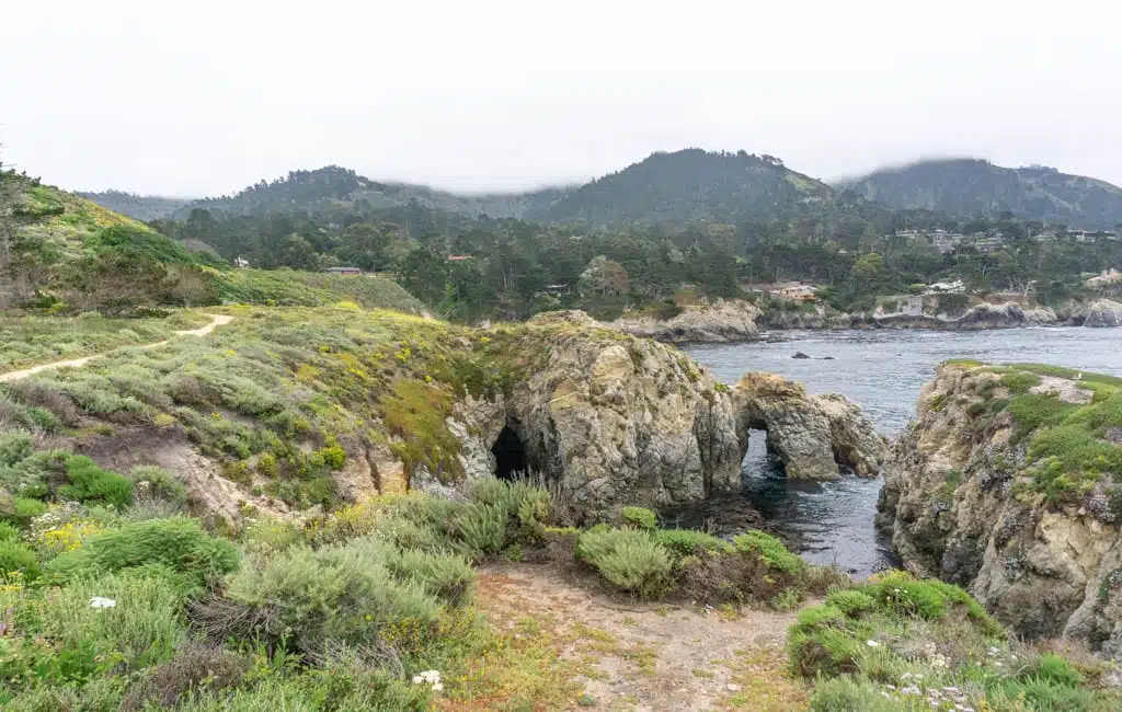 Point Lobos State Natural Reserve