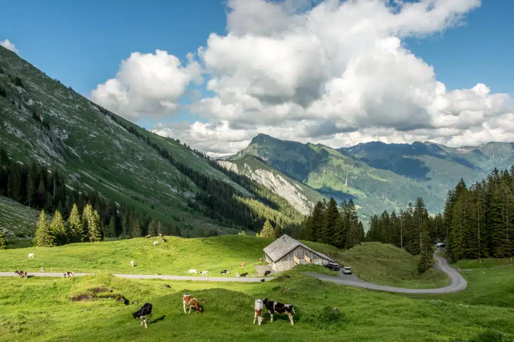 Bregenzerwald - rondreis Oostenrijk met de auto