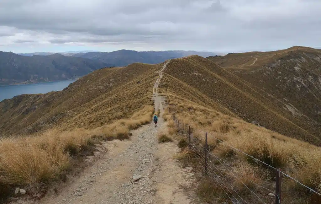 Hiken Nieuw-Zeeland Isthmus Peak