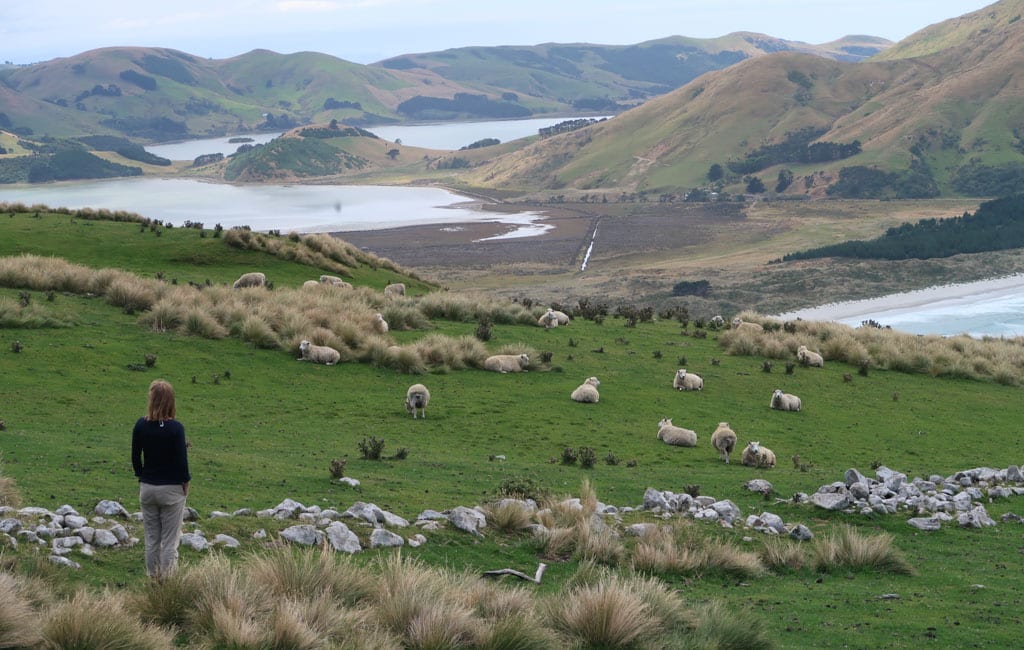 Hiken Nieuw-Zeeland Lovers Leap