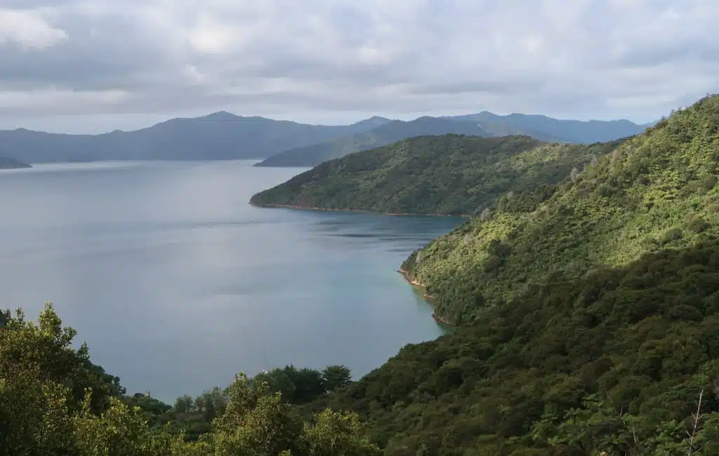 Hiken Nieuw-Zeeland Marlborough Sounds