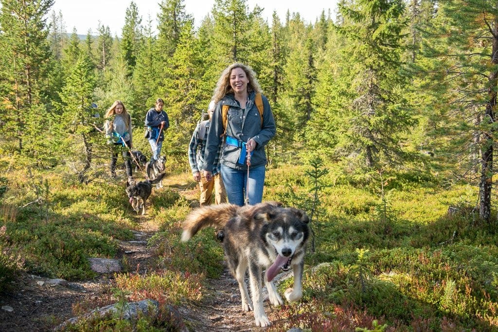 met Husky's Wandelen