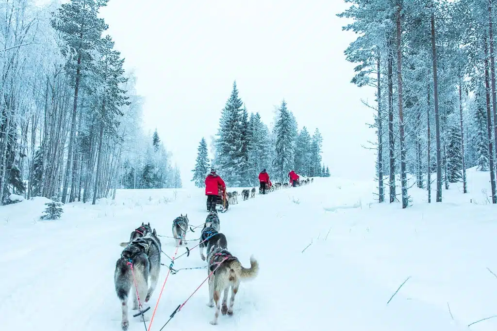 Lapland in de winter: de leukste activiteiten