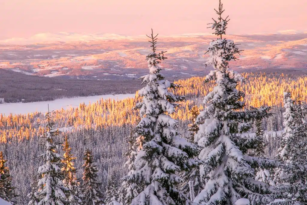 Zonsopkomst in Lapland