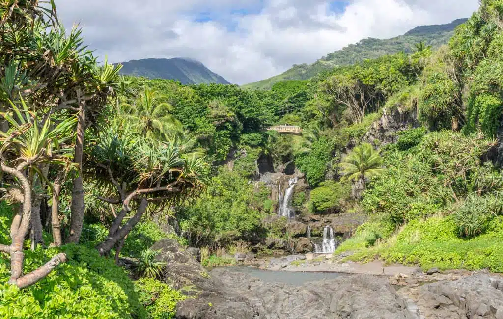 Pipiwai Trail Maui Road to Hana