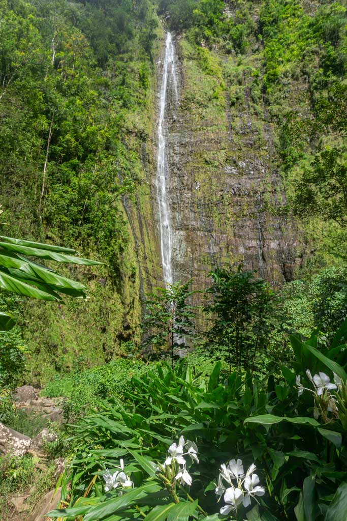 Pipiwai Trail Maui Road to Hana