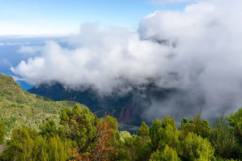 Uitzichtpunten op Madeira - Miradouro Vereda do Fanal