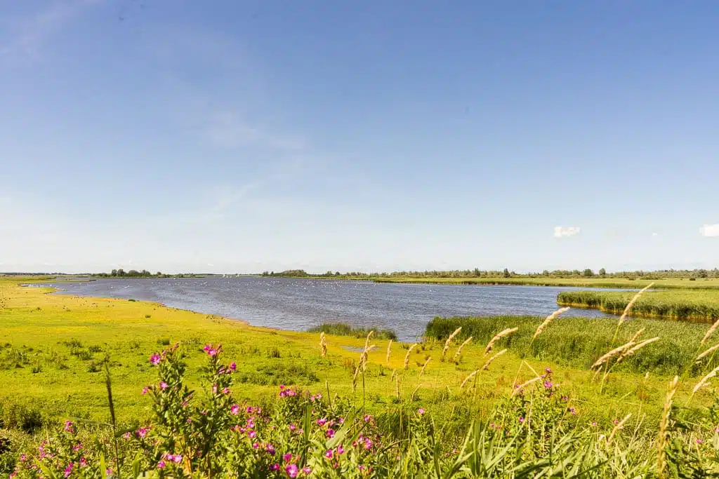 Fietsroute in Friesland langs het Lauwersmeer