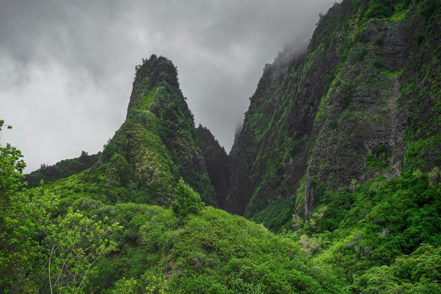 Maui Iao Valley