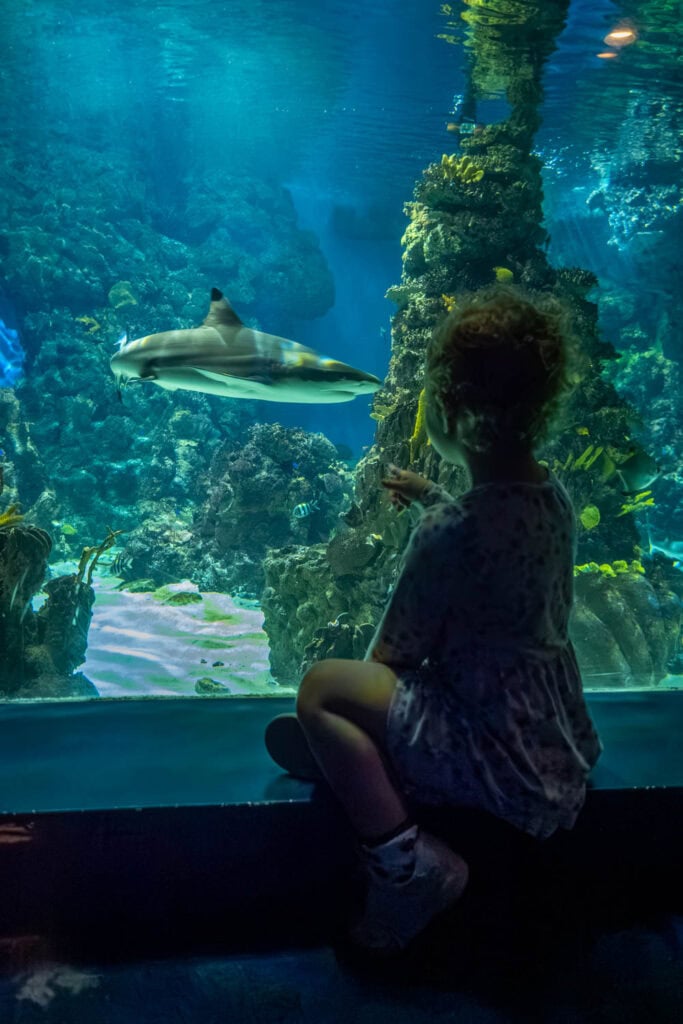 Doen in Barcelona - Aquarium