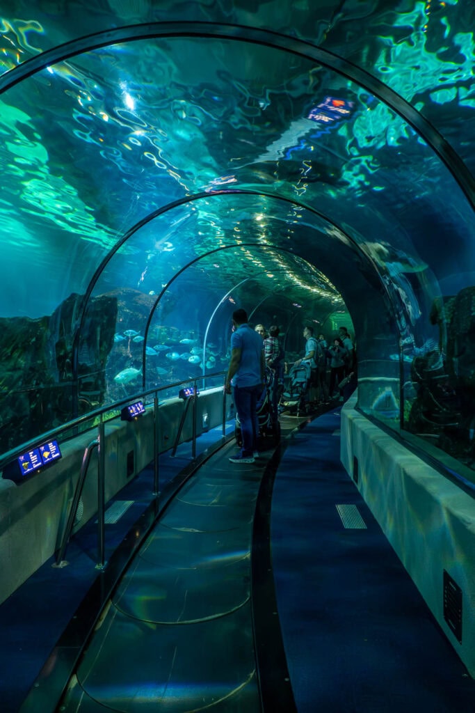 Doen in Barcelona - Aquarium