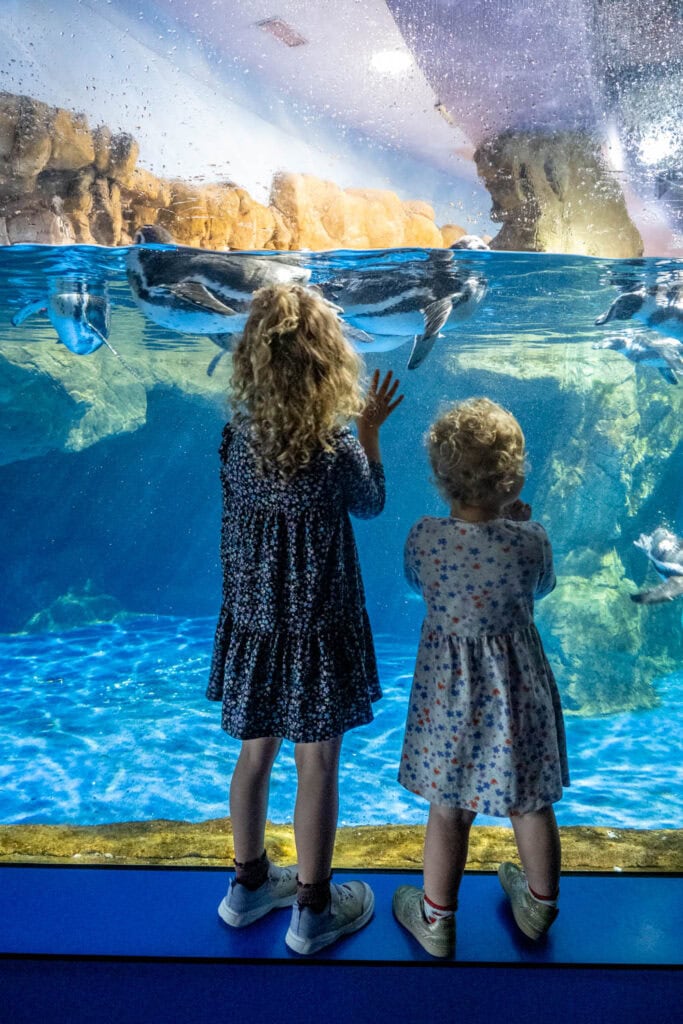 Doen in Barcelona - Aquarium