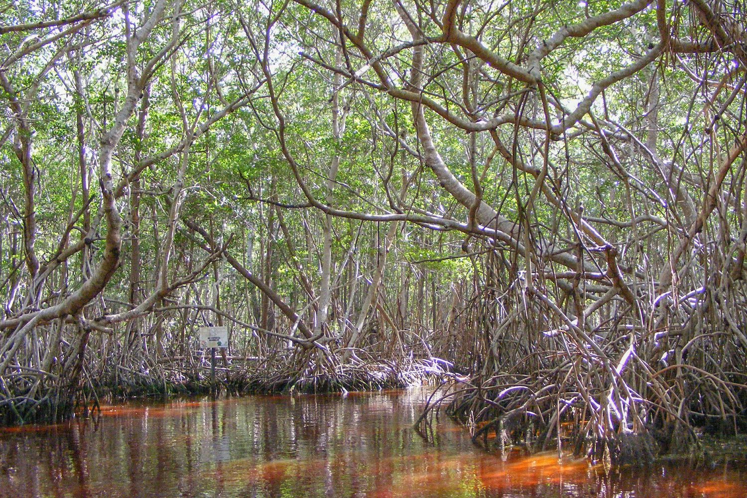 Bezienswaardigheden Yucatán Mexico - Ria Celestun Biosphere Reserve