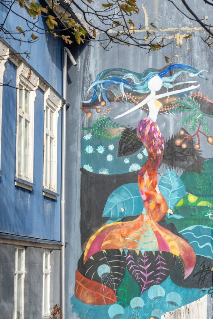 Doen in Reykjavik - Street art