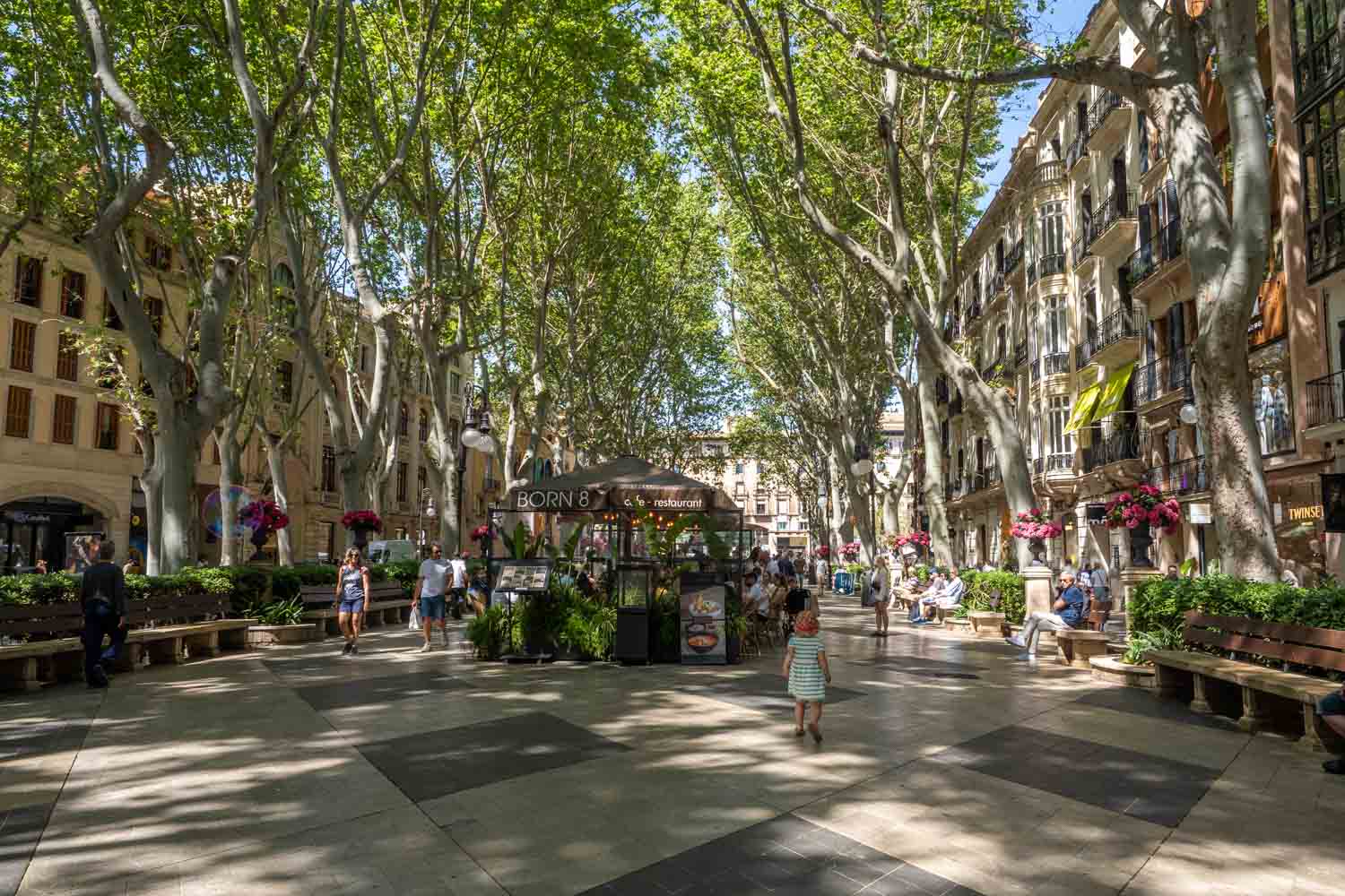 Doen in Palma de Mallorca - Passeig del Born