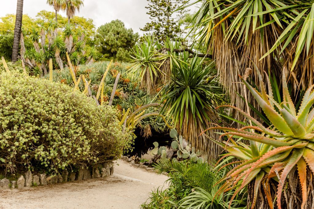 Botanische Tuinen in Lissabon