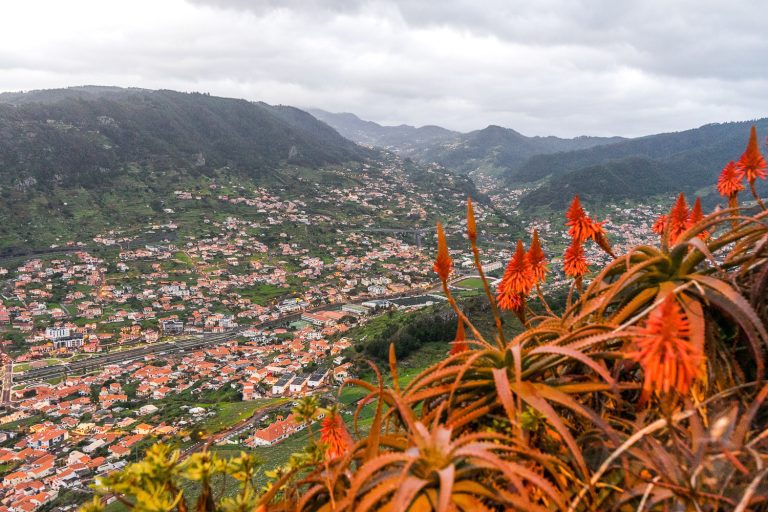 Wat te doen op Madeira 13x tips en bezienswaardigheden Reisgenie Wat te doen op Madeira 13x tips en bezienswaardigheden Reisgenie