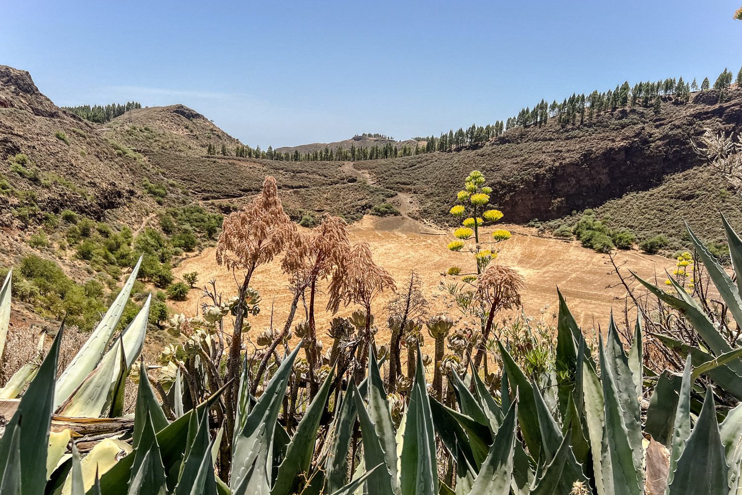 Gran Canaria binnenland - Caldera de los Marteles