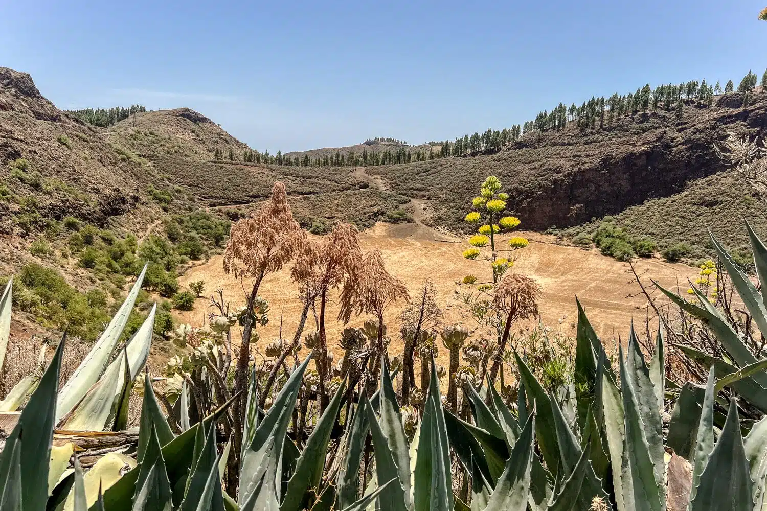 Gran Canaria binnenland - Caldera de los Marteles