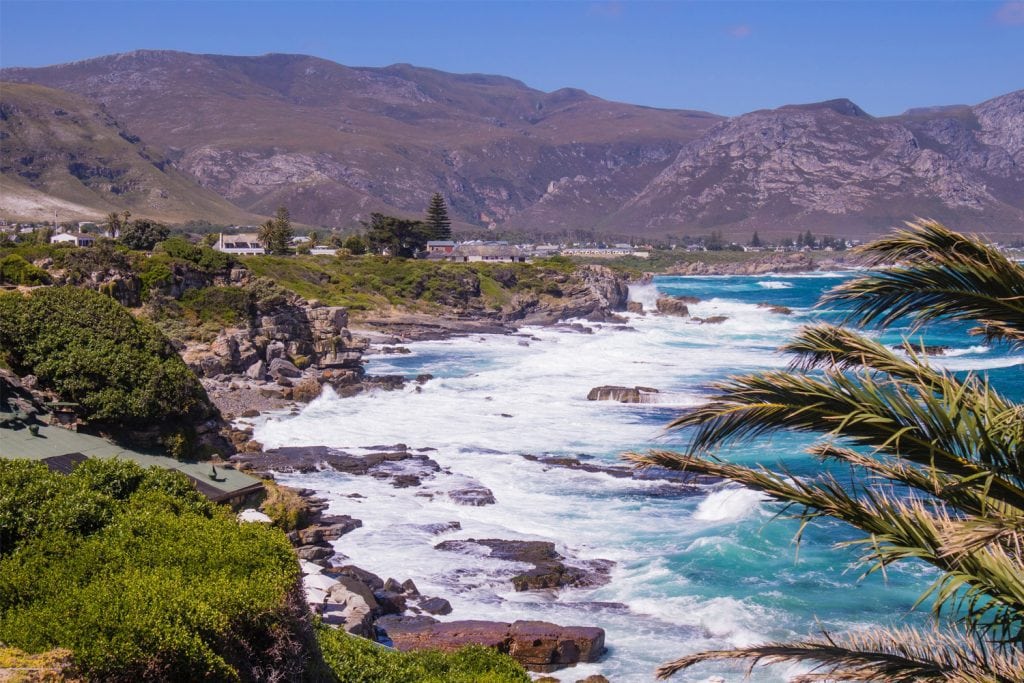 Hermanus