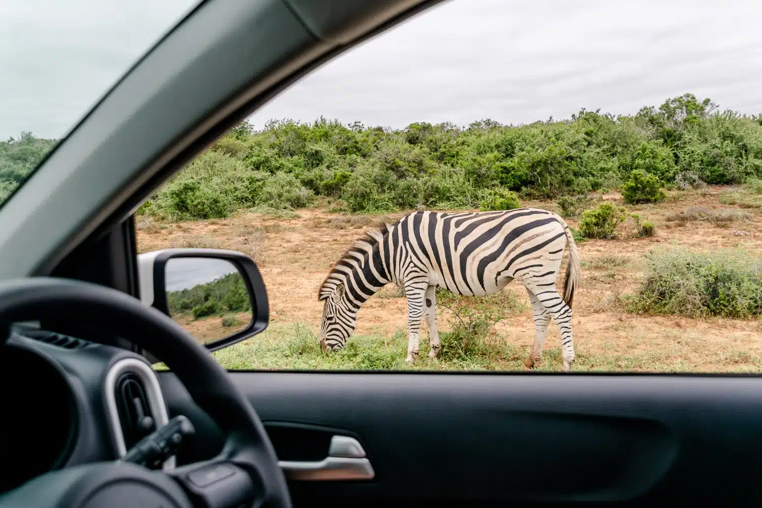 Auto huren in Zuid-Afrika