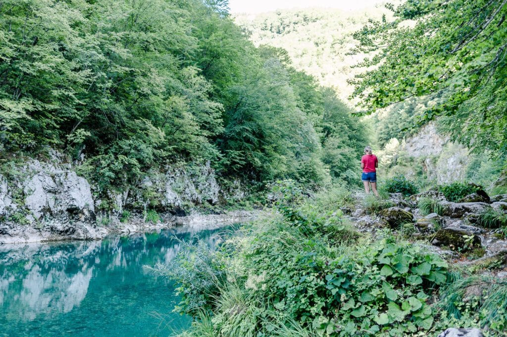 Tara Canyon Montenegro